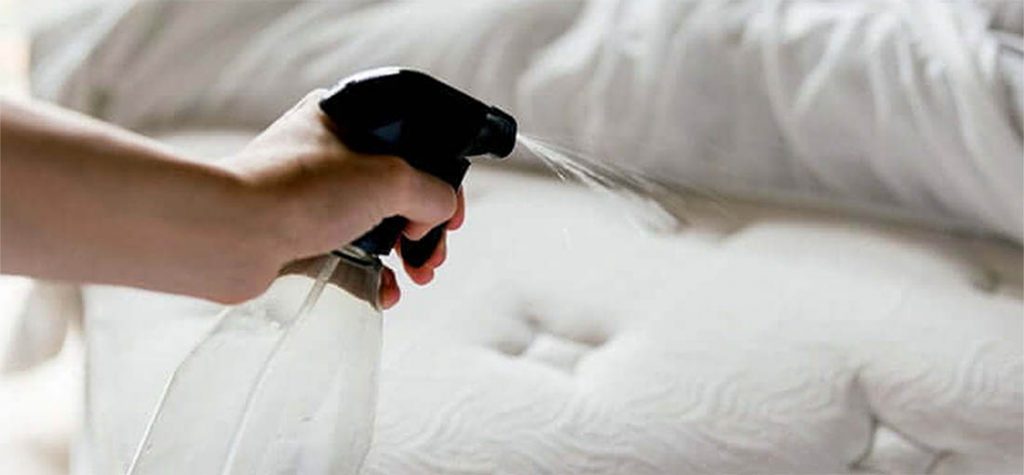 intervention punaises de lit hôtels Haut-Rhin