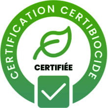 Certification 3