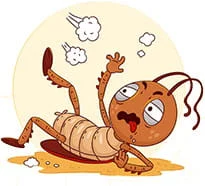 Intervention élimination blattes Haut-Rhin