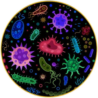  intervention désinfection bactéries Haut Rhin