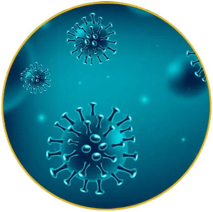  intervention désinfection virus Haut Rhin